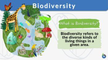 Biodiversity - Definition and Examples - Biology Online Dictionary