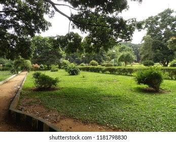 Lalbagh Botanical Garden Bangalore India Stock Photo 1181798830 ...