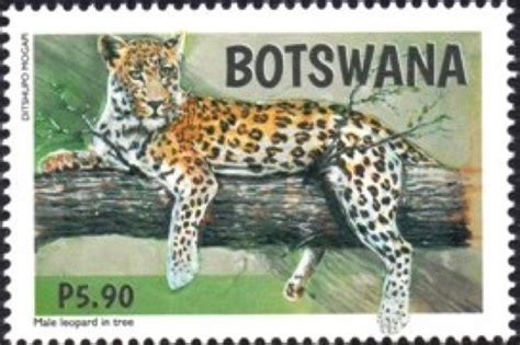 Commonwealth Stamps Opinion: 946. New Botswana Stamps Depict Leopards.