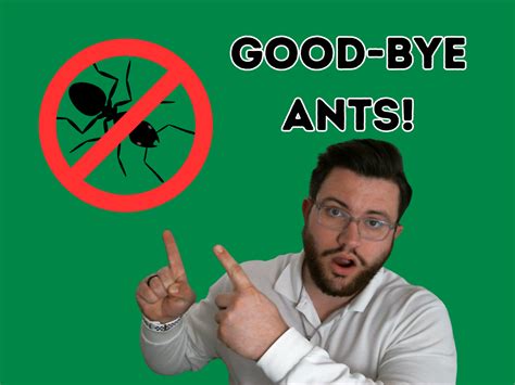 Ant Control Wylie - Ant Control Service In Wylie, TX - Preferred Pest ...