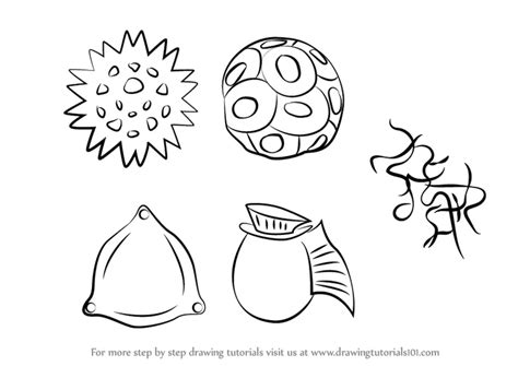 Learn How to Draw Phytoplankton (Plants) Step by Step : Drawing Tutorials