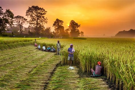 Environmentally friendly farming practices used by nearly 1/3 of world’s farms | The Organic ...