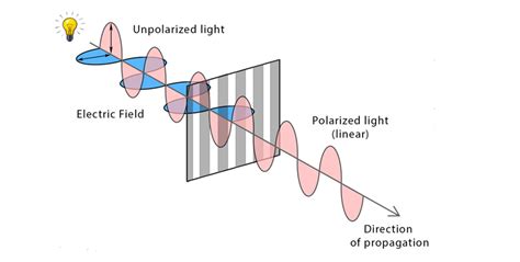 Polarized Light