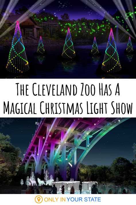 Cleveland Zoo Christmas Lights - Led Christmas