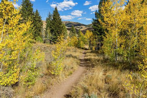 USA, Idaho, Ketchum, Hiking trail through the forest in fall - Stock ...