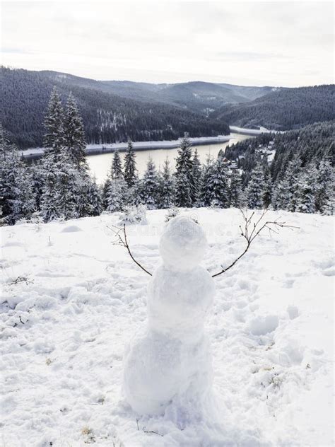 Fantastic Winter Wonderland, Snowman Stock Image - Image of hoarfrost ...