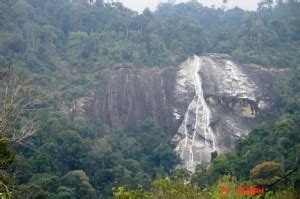 | Gunung Stong – A Trip Back to Nature