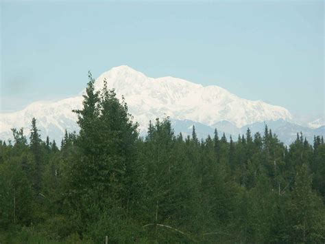 Free picture: green, forest, mountain, Mckinley, background, Denali, national, reserve, park