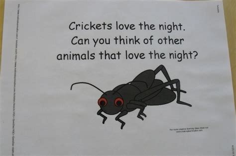 The Very Quiet Cricket - Bright Beginnings Preschool