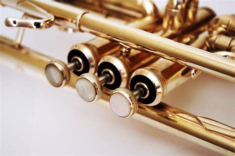 Trumpet valves. | trumpet valves DSC05427 copy | txdragonfly11 | Flickr