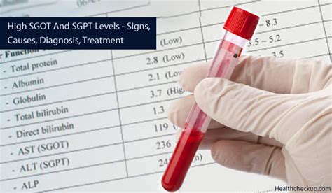 High SGOT and SGPT Levels Symptoms, Causes, Diagnosis, Treatment