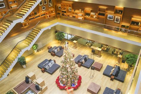 The Hotel Lobby Overlooks The Corner And The Christmas Tree In T Picture And HD Photos | Free ...