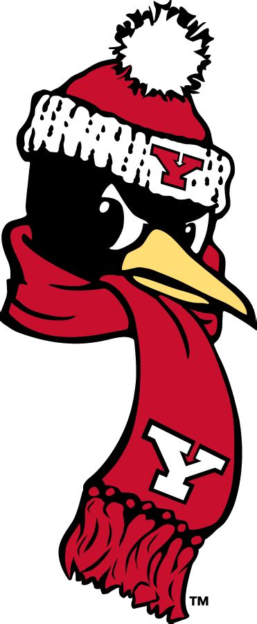 Youngstown State Penguins Logo - Secondary Logo - NCAA Division I (u-z) (NCAA u-z) - Chris ...