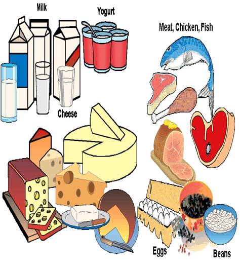 Go Foods Drawing at GetDrawings | Free download