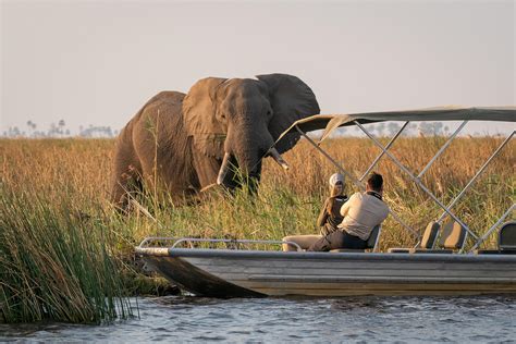 9 Days Wildlife Safari Botswana - Biggestleaf Travel