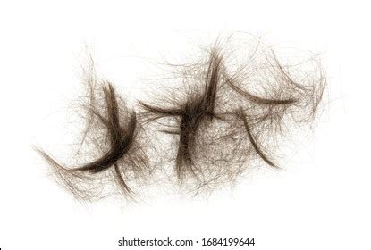 Tuft Hair Images, Stock Photos & Vectors | Shutterstock