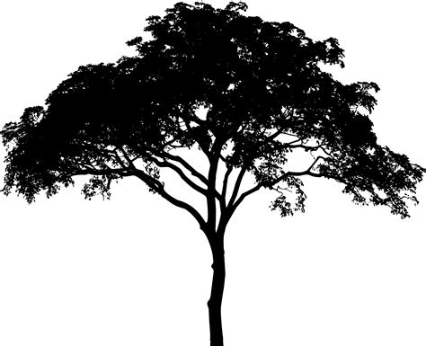 Clipart - Savannah Tree Silhouette
