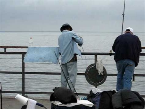 Summer Pier Fishing at Redondo Beach Pier California - YouTube