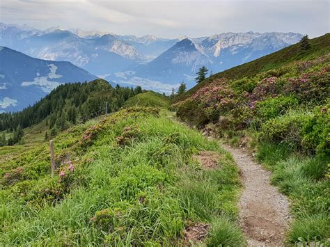 10 reasons to visit Alpbach in Summer