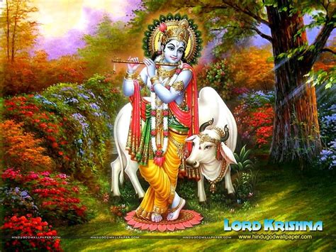 Krishna and Cow Wallpapers - Top Free Krishna and Cow Backgrounds ...