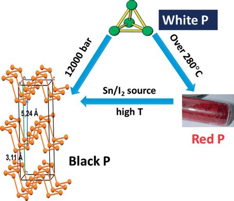 Chart of modification of phosphorus allotropes by varying temperature T ...