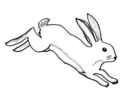 Peter Rabbit Drawing | Free download on ClipArtMag