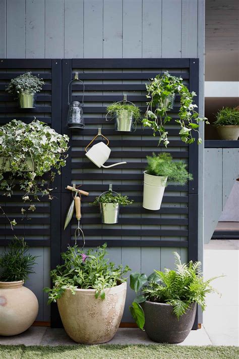 Trellis ideas for gardens: 15 chic screens to add plants, privacy and ...