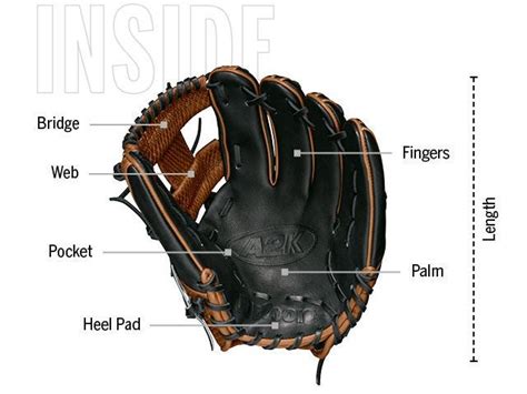 How to Choose a Baseball Glove | Wilson Sporting Goods