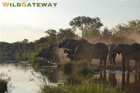 Seeing The Big 5 In Kruger National Park, South Africa