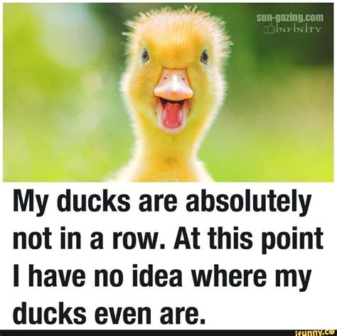 My ducks are absolutely not in a row. At this point I have no idea where my ducks even are. - iFunny