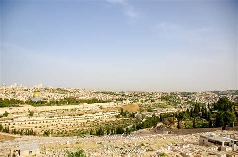 Matt Olsson - Mount of Olives, Garden of Gethsemane