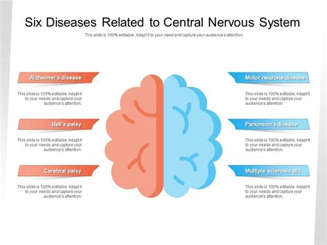 Six Diseases Related To Central Nervous System | PowerPoint Slides Diagrams | Themes for PPT ...