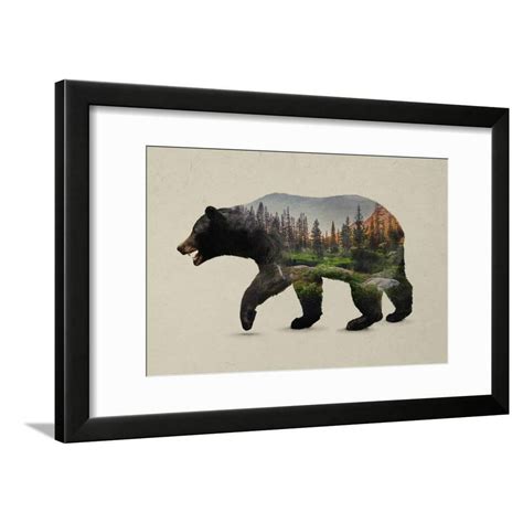 The North American Black Bear Framed Print Wall Art By Davies Babies ...