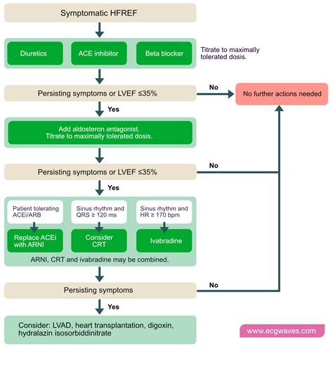 Esc Heart Failure 2024 Guidelines - Mari Stacia