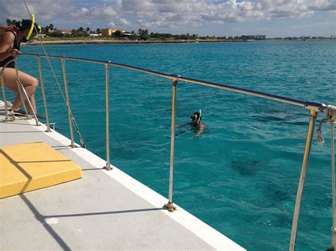 aruba Snorkeling | Travel, Travel book, Tourist attraction