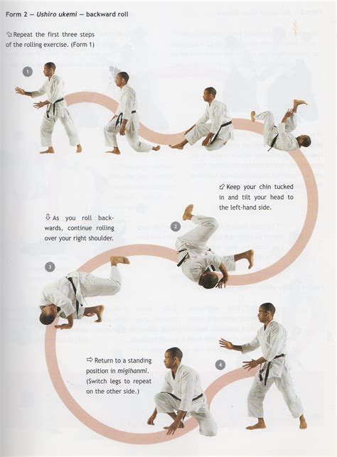 Aikido ,main aim is to protect themselve from injury when being attacked