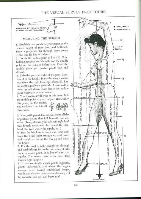 Andrew Loomis Figure Drawing For All Its Worth