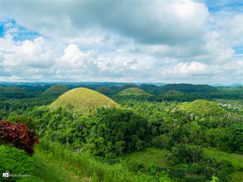 Chocolate Hills. | Natural landmarks, Outdoor, Travel