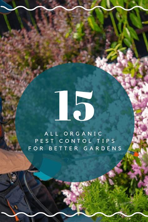 The Best Organic Pest Control Methods For Your Garden