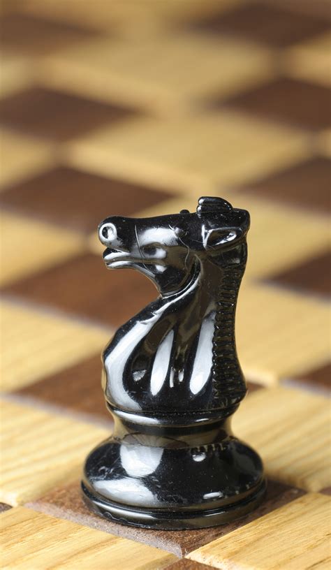 File:Chess piece - Black knight.JPG - Simple English Wikipedia, the ...