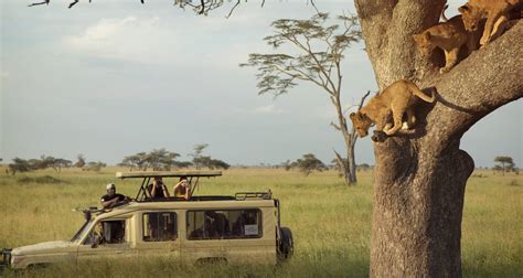 Victoria Falls & Serengeti Overland: Lakes & Landos by G Adventures ...