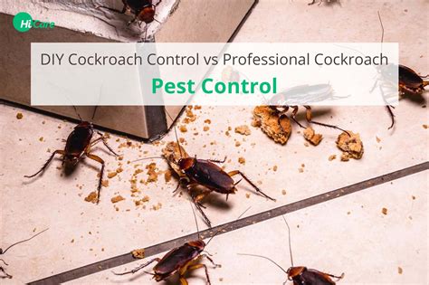 DIY Vs Professional Cockroach Pest Control | HiCare