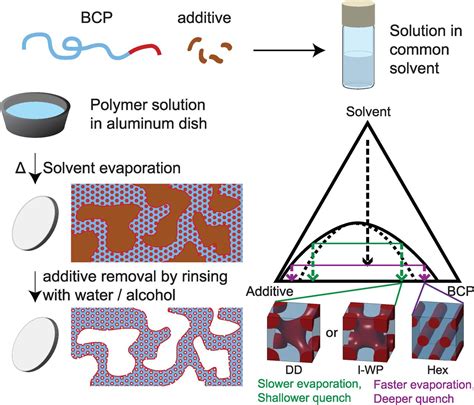 Hierarchical Porous Polymer Scaffolds from Block Copolymers | Science