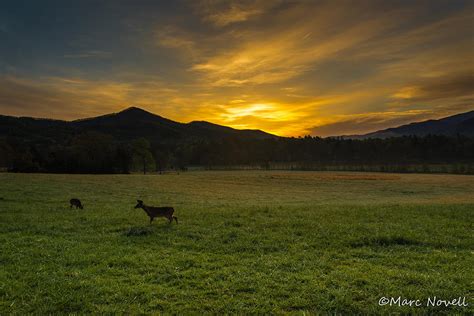 Sunrise in Cades Cove Photograph by Marc Novell - Fine Art America