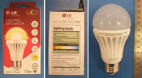 Anatomy Of A Light Bulb - Anatomical Charts & Posters