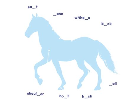 What's the breed? | Pony Magazine