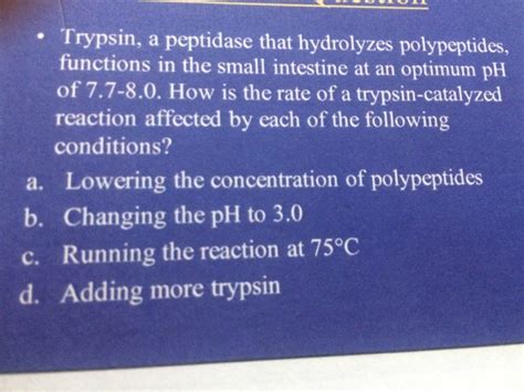 Solved Trypsin, a peptidase that hydrolyzes polypeptides | Chegg.com