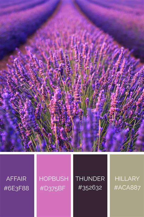 99 Shades of Purple Color with Names, HEX, RGB, & CMYK (2023) • Colors Explained