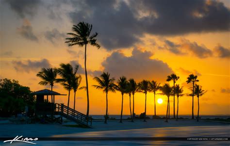 Sunrise at Matheson Hammock Park in Coral Gables Coconut Trees