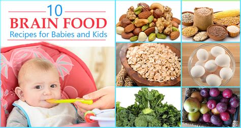 Top 10 Brain Food Recipes for Babies and Kids